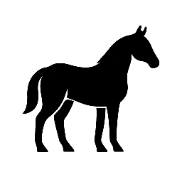 SilvaRiders-Erlebnisreiten